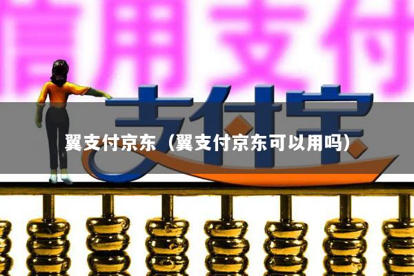 翼支付京东(翼支付京东可以用吗)