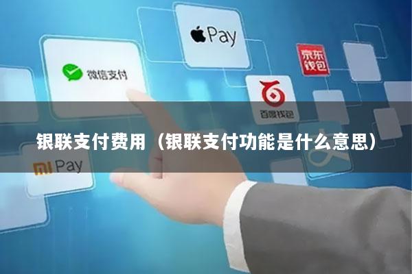 银联支付费用(银联支付功能是什么意思)