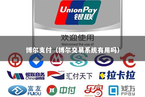 博尔支付(博尔交易系统有用吗)