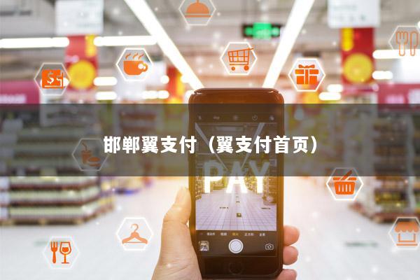 邯郸翼支付(翼支付首页)