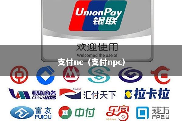 支付nc(支付npc)