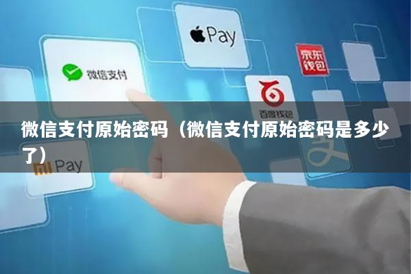 微信支付原始密码(微信支付原始密码是多少了)