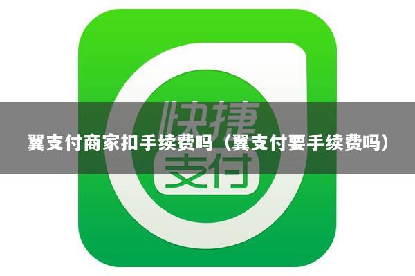 翼支付商家扣手续费吗(翼支付要手续费吗)