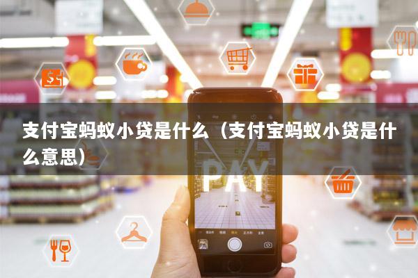 支付宝蚂蚁小贷是什么(支付宝蚂蚁小贷是什么意思)