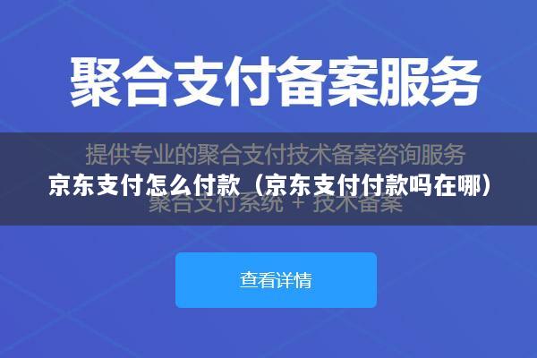 京东支付怎么付款(京东支付付款吗在哪)