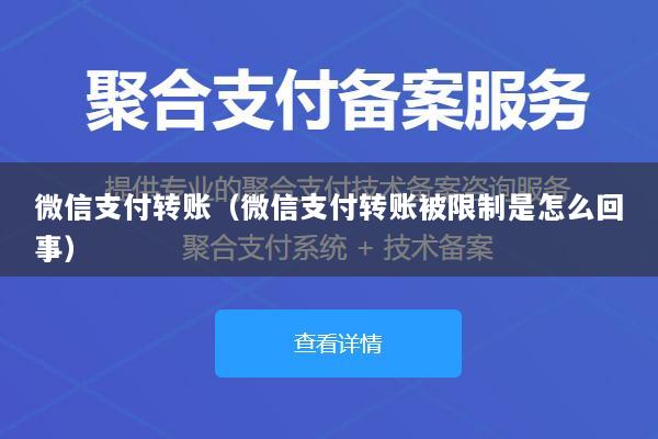 微信支付转账(微信支付转账被限制是怎么回事)