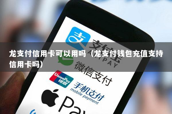 龙支付信用卡可以用吗(龙支付钱包充值支持信用卡吗)