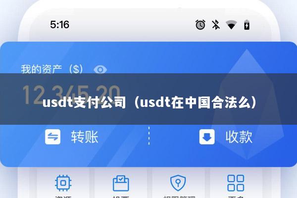 usdt支付公司(usdt在中国合法么)