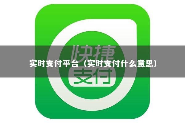 实时支付平台(实时支付什么意思)