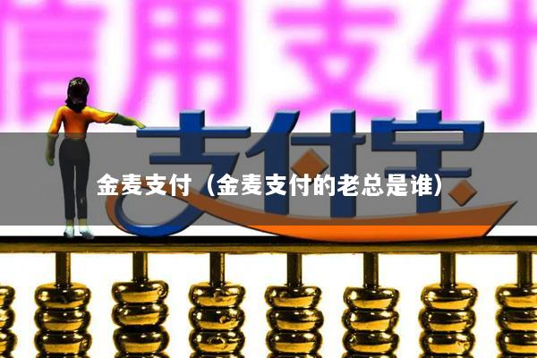 金麦支付(金麦支付的老总是谁)