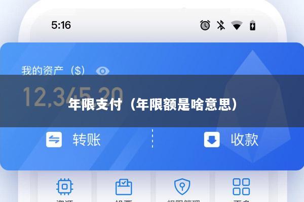 年限支付(年限额是啥意思)