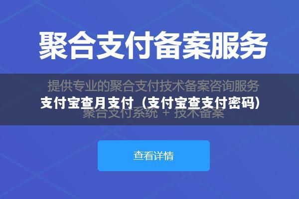 支付宝查月支付(支付宝查支付密码)