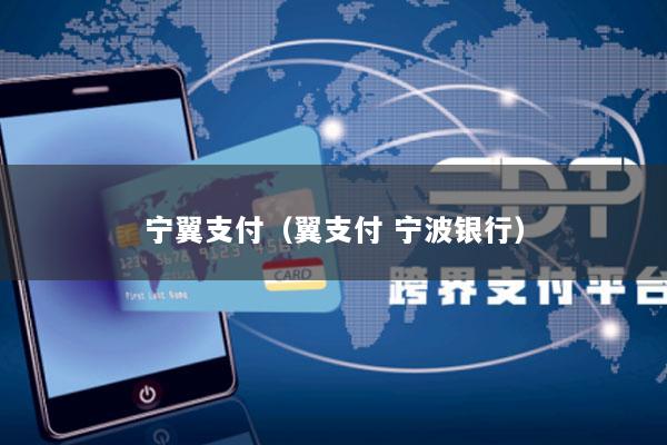 宁翼支付(翼支付 宁波银行)
