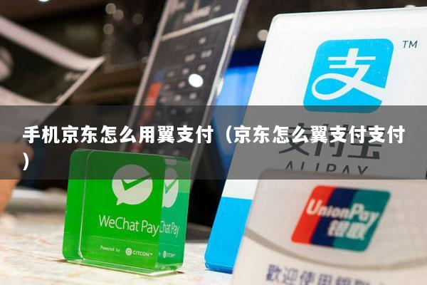 手机京东怎么用翼支付(京东怎么翼支付支付)