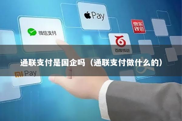 通联支付是国企吗(通联支付做什么的)