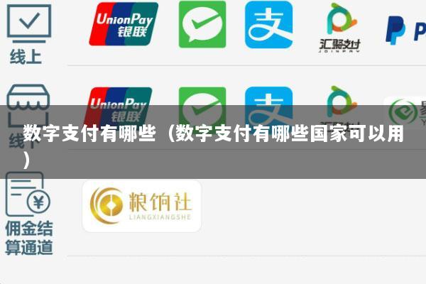 数字支付有哪些(数字支付有哪些国家可以用)