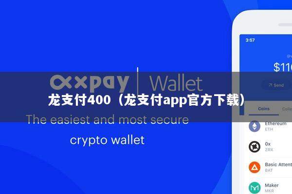 龙支付400(龙支付app官方下载)