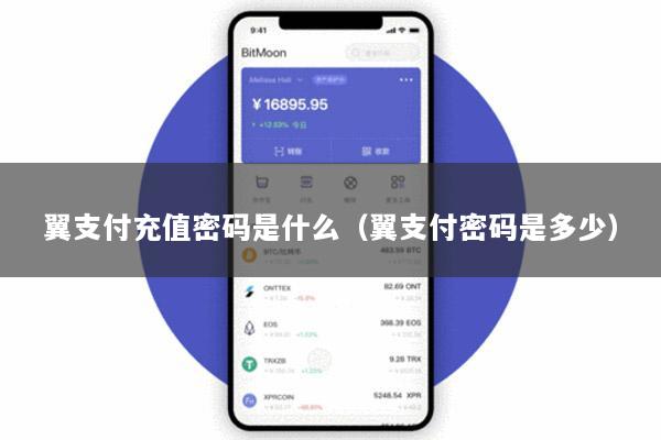 翼支付充值密码是什么(翼支付密码是多少)