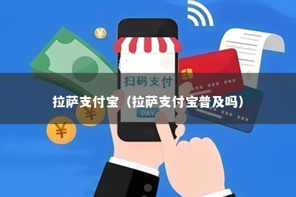 拉萨支付宝(拉萨支付宝普及吗)