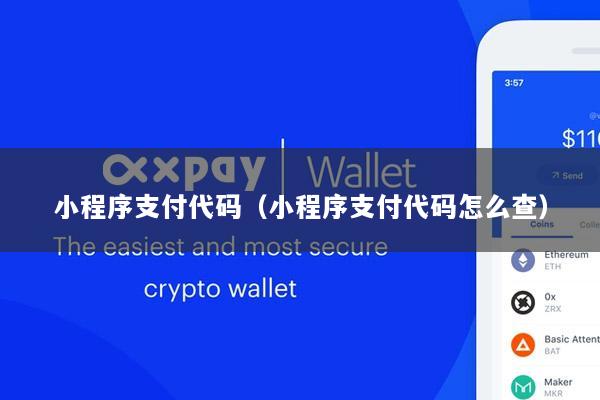 小程序支付代码(小程序支付代码怎么查)