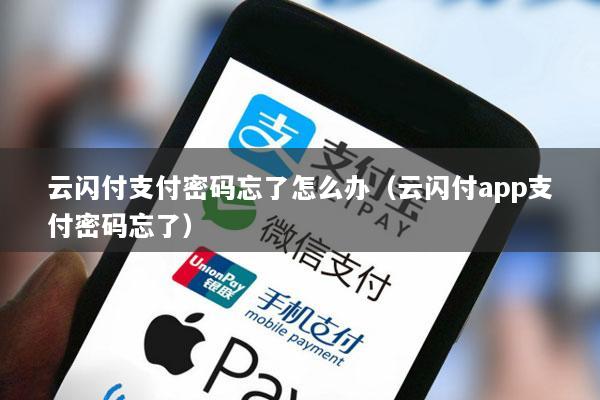 云闪付支付密码忘了怎么办(云闪付app支付密码忘了)