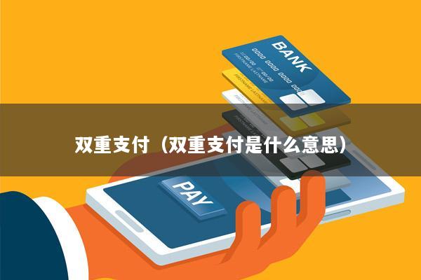 双重支付(双重支付是什么意思)