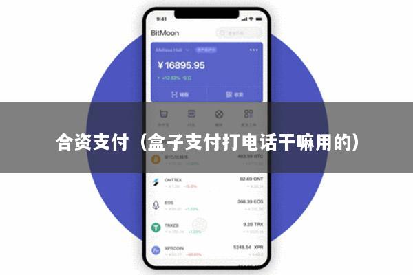 合资支付(盒子支付打电话干嘛用的)
