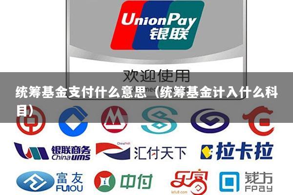 统筹基金支付什么意思(统筹基金计入什么科目)