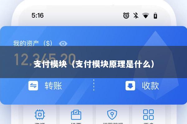 支付模块(支付模块原理是什么)