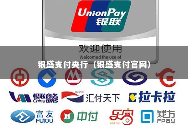 银盛支付央行(银盛支付官网)