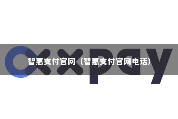 智惠支付官网(智惠支付官网电话)