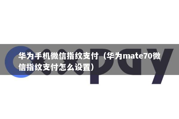 华为手机微信指纹支付(华为mate70微信指纹支付怎么设置)