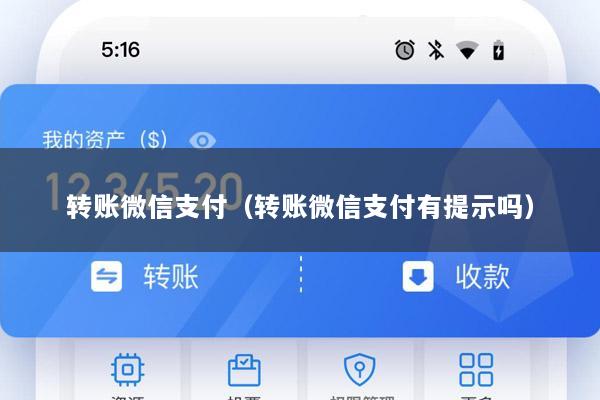 转账微信支付(转账微信支付有提示吗)