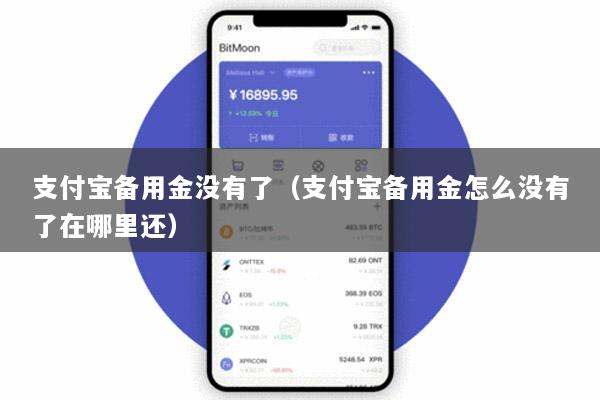 支付宝备用金没有了(支付宝备用金怎么没有了在哪里还)