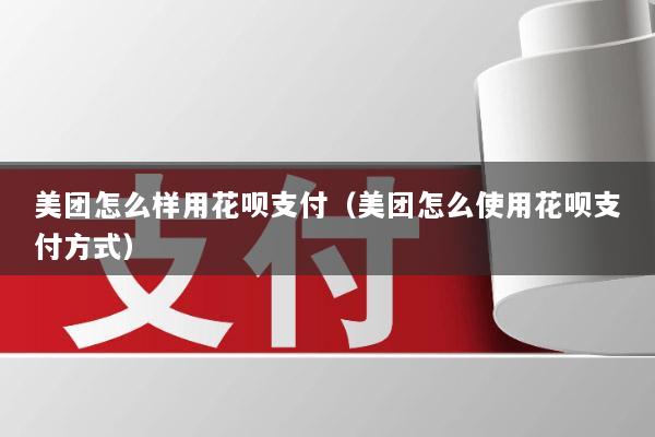 美团怎么样用花呗支付(美团怎么使用花呗支付方式)