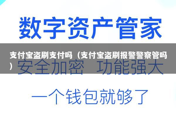 支付宝盗刷支付吗(支付宝盗刷报警警察管吗)