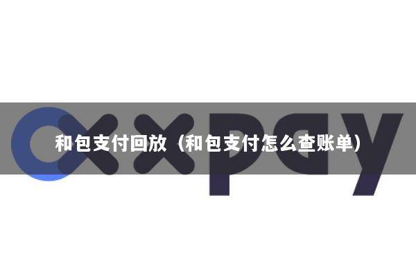 和包支付回放(和包支付怎么查账单)
