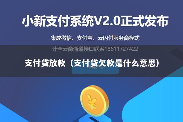 支付贷放款(支付贷欠款是什么意思)
