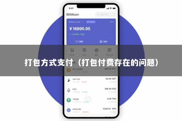 打包方式支付(打包付费存在的问题)