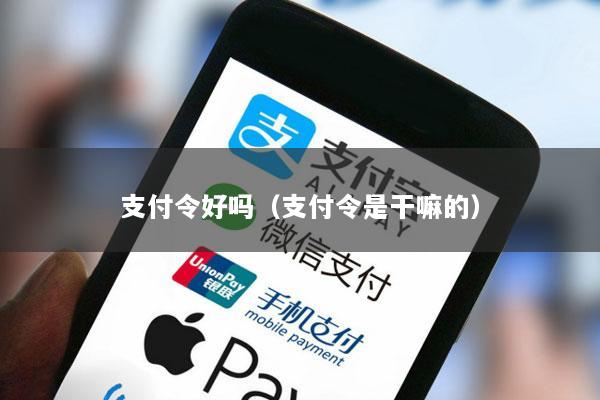 支付令好吗（支付令是干嘛的）