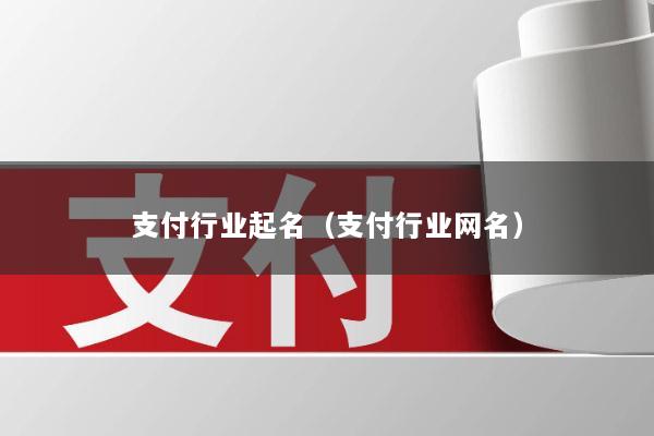 支付行业起名（支付行业网名）