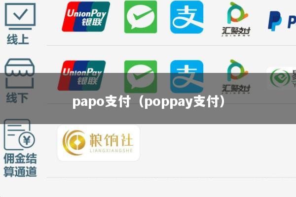 papo支付（poppay支付）