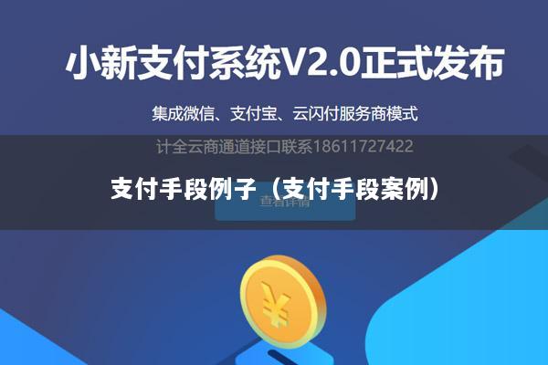 支付手段例子（支付手段案例）