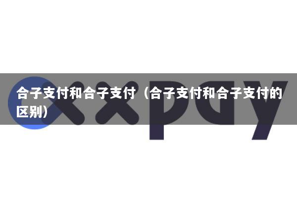 合子支付和合子支付(合子支付和合子支付的区别)